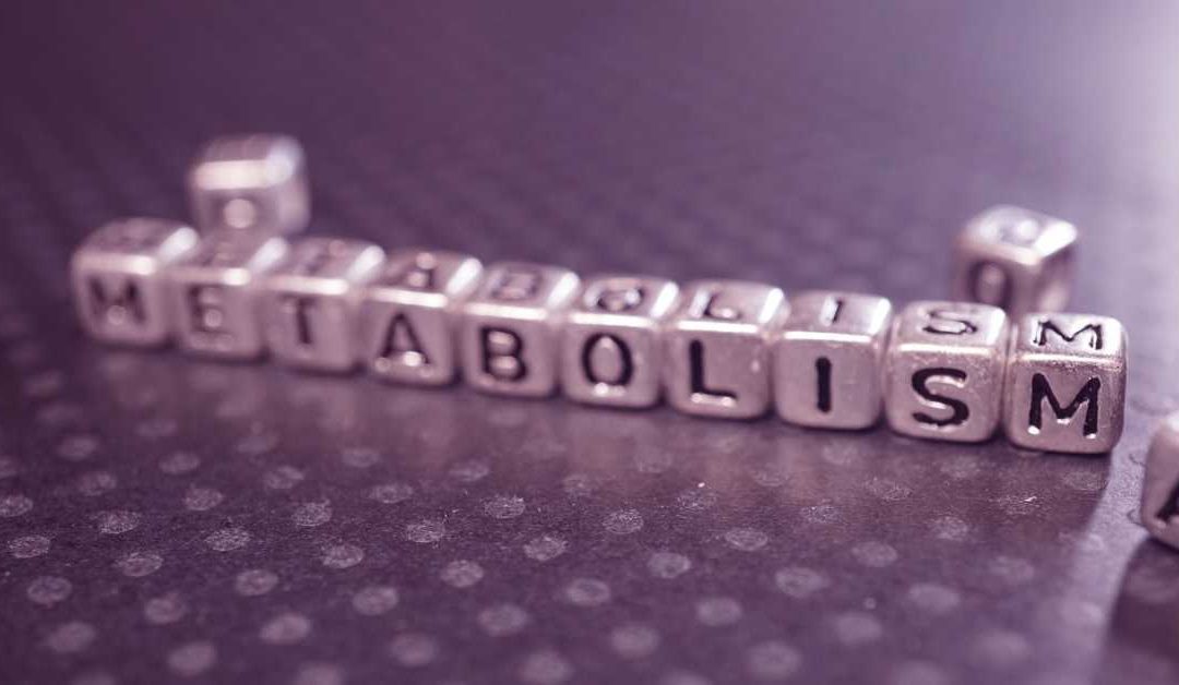 Metabolisme Mandira