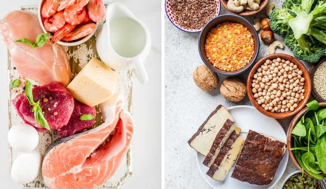 perbedaan protein nabati dan hewani