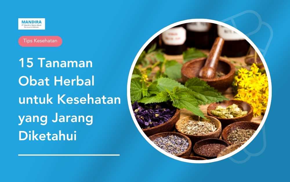 15 Tanaman Obat Herbal Untuk Kesehatan Yang Jarang Diketahui