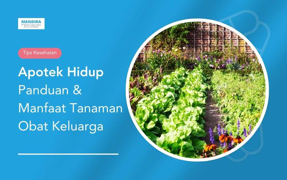 Apotek hidup