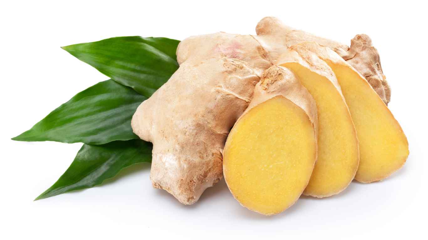 Pantangan penyakit kuning jahe Mandira Distra Distributor Obat Pedagang Besar Farmasi