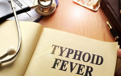 Typhoid Fever Caused by the Following