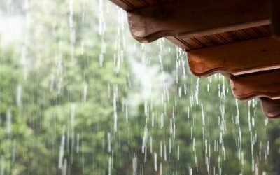 Prevent Diseases During the Rainy Season with These Vitamins
