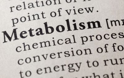 10 Cara Memperbaiki Metabolisme Tubuh